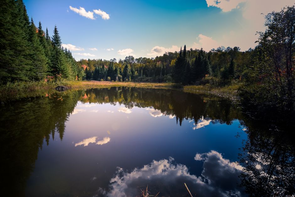 Calm Lake Reflection — illustrative photo