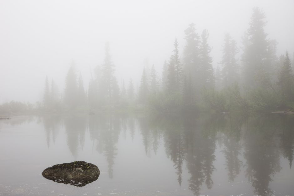 Murky Lake Shoreline — illustrative photo