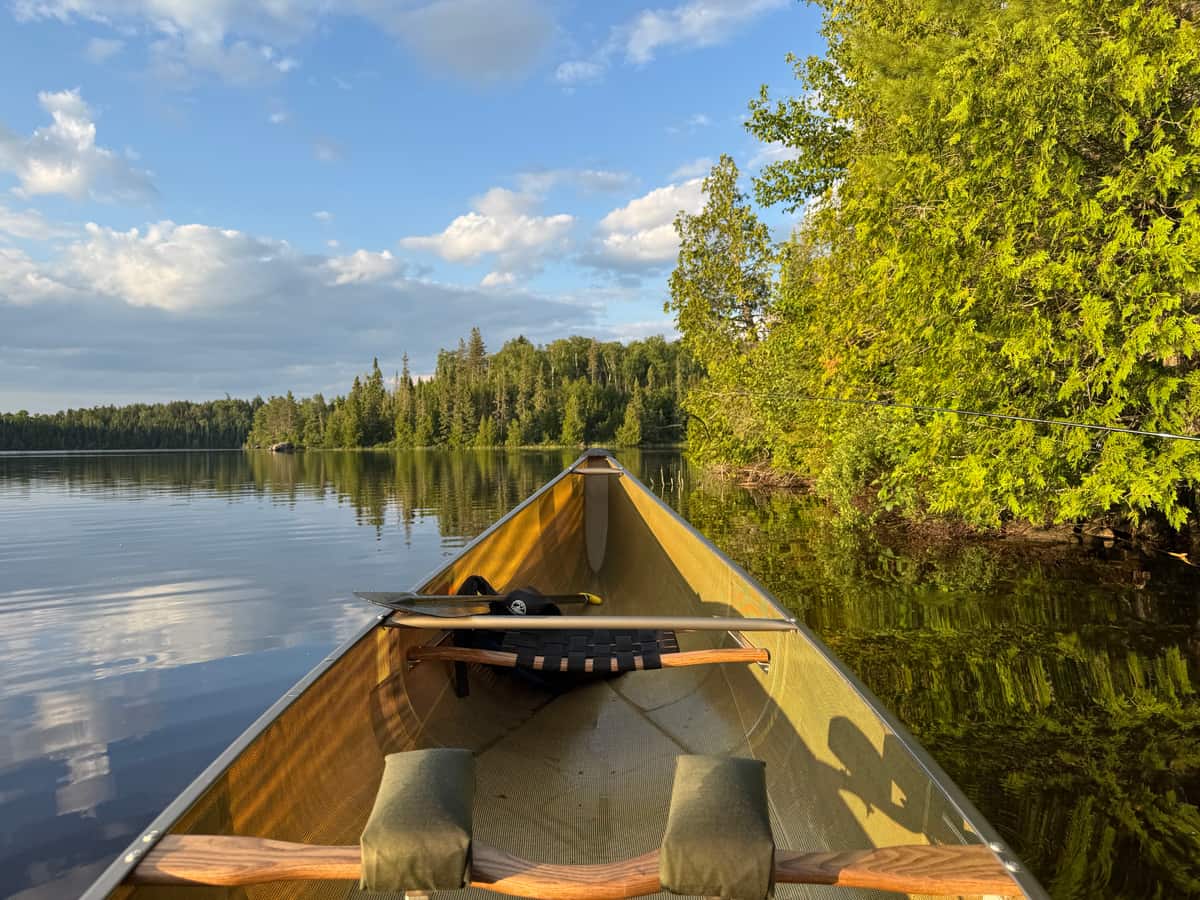 The bow of a canoe on flat evening water, a spruce and birch shoreline ahead, in the Boundary Waters Canoe Area Wilderness