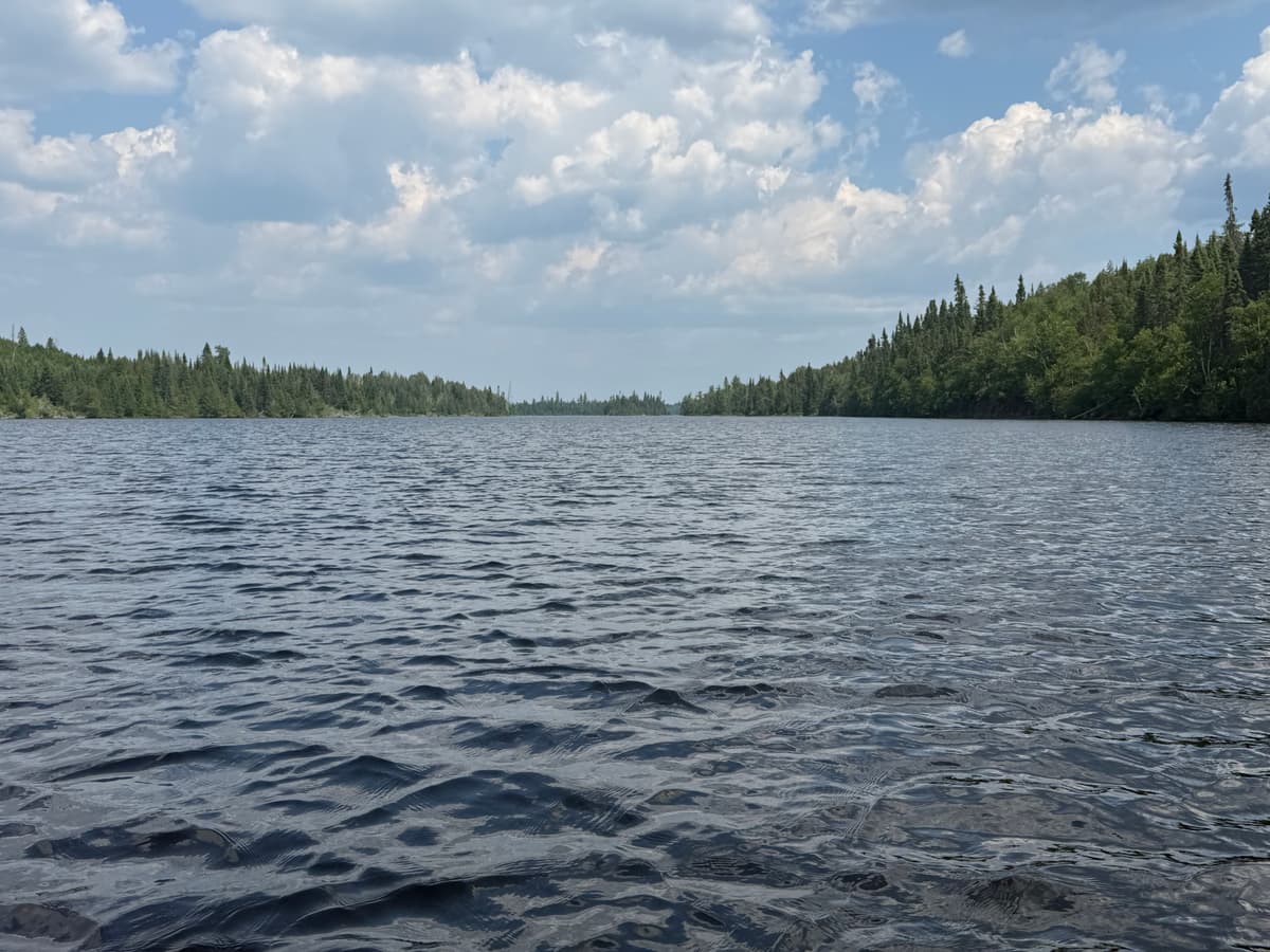 Wind-rippled open water under summer cumulus, spruce forest on both shores, in the Boundary Waters