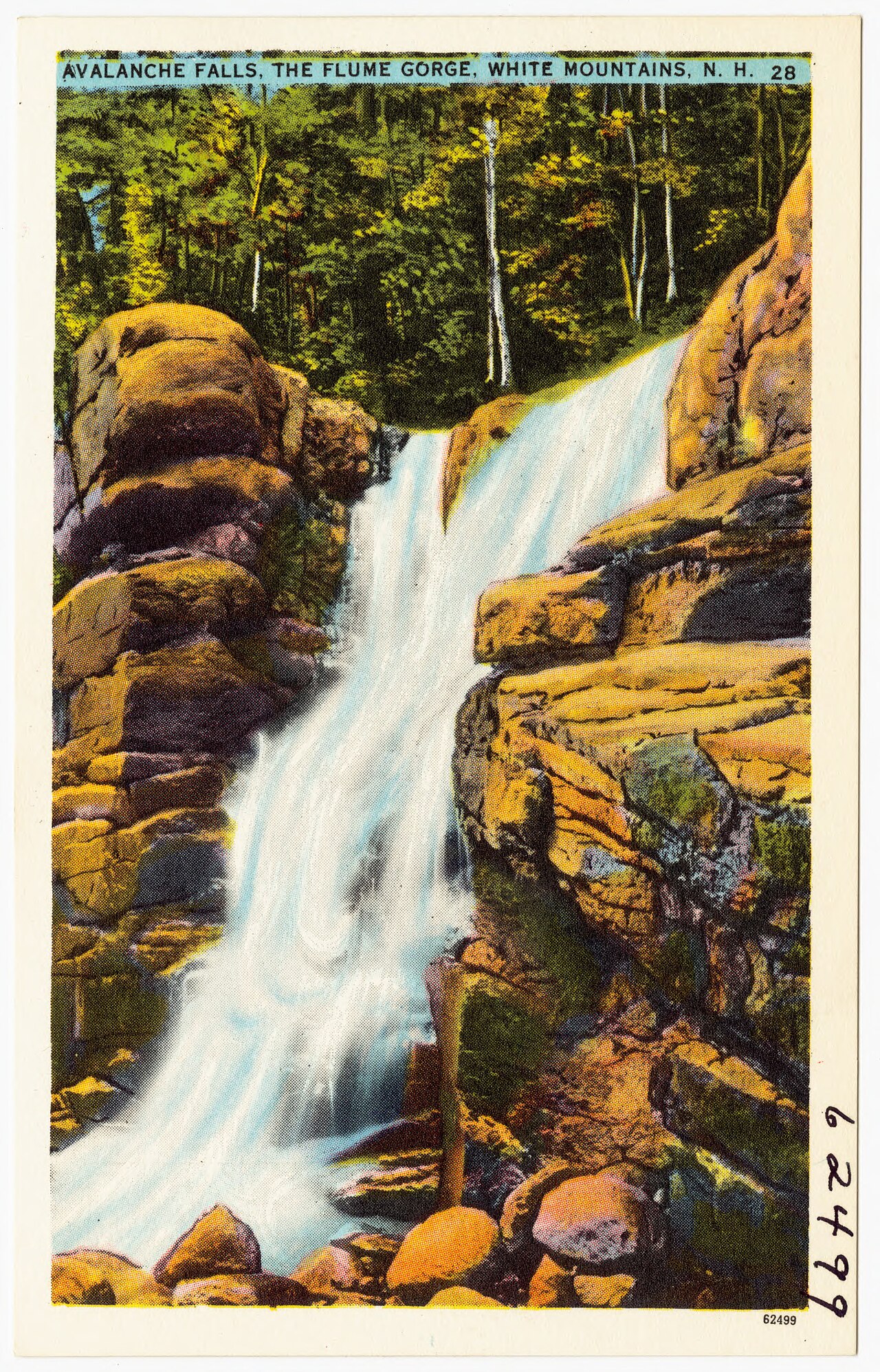 Avalanche Falls, a waterfall in New Hampshire