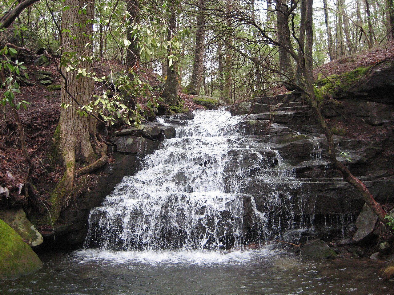 Big Branch Falls, a waterfall in West Virginia