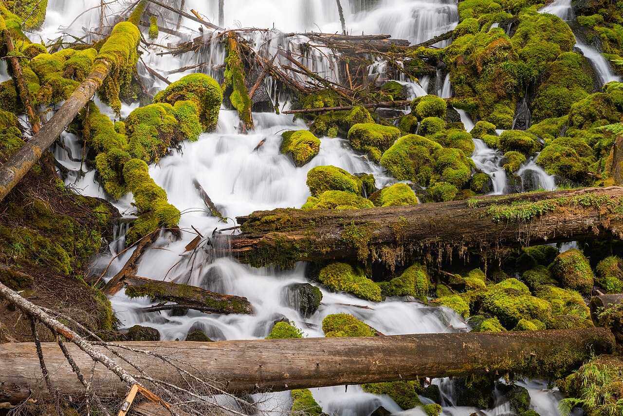 Clearwater Falls, a waterfall in Oregon