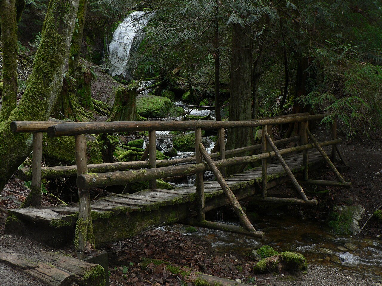 Coal Creek Falls, a waterfall in Washington