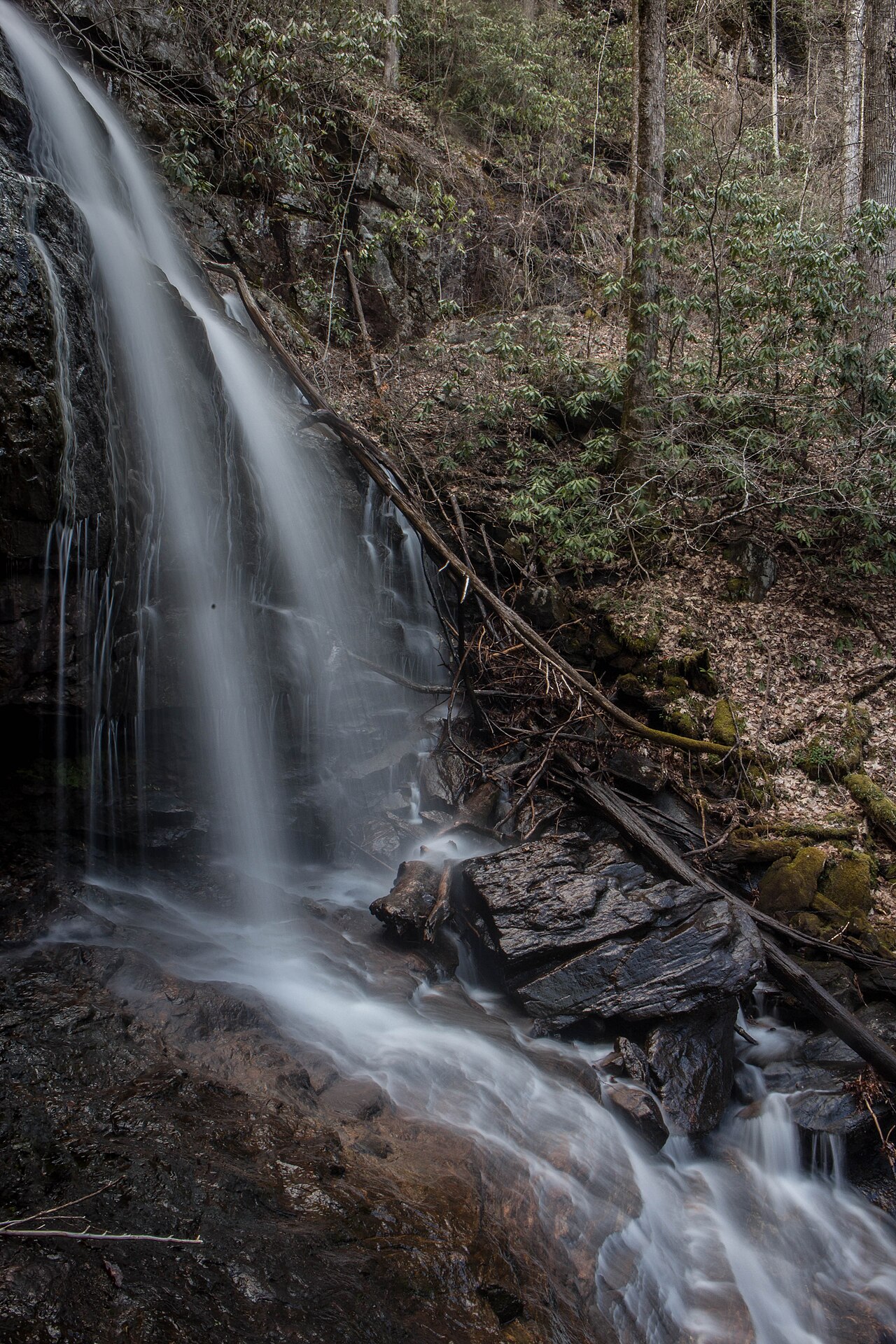 Daniel Ridge Falls, a waterfall in North Carolina