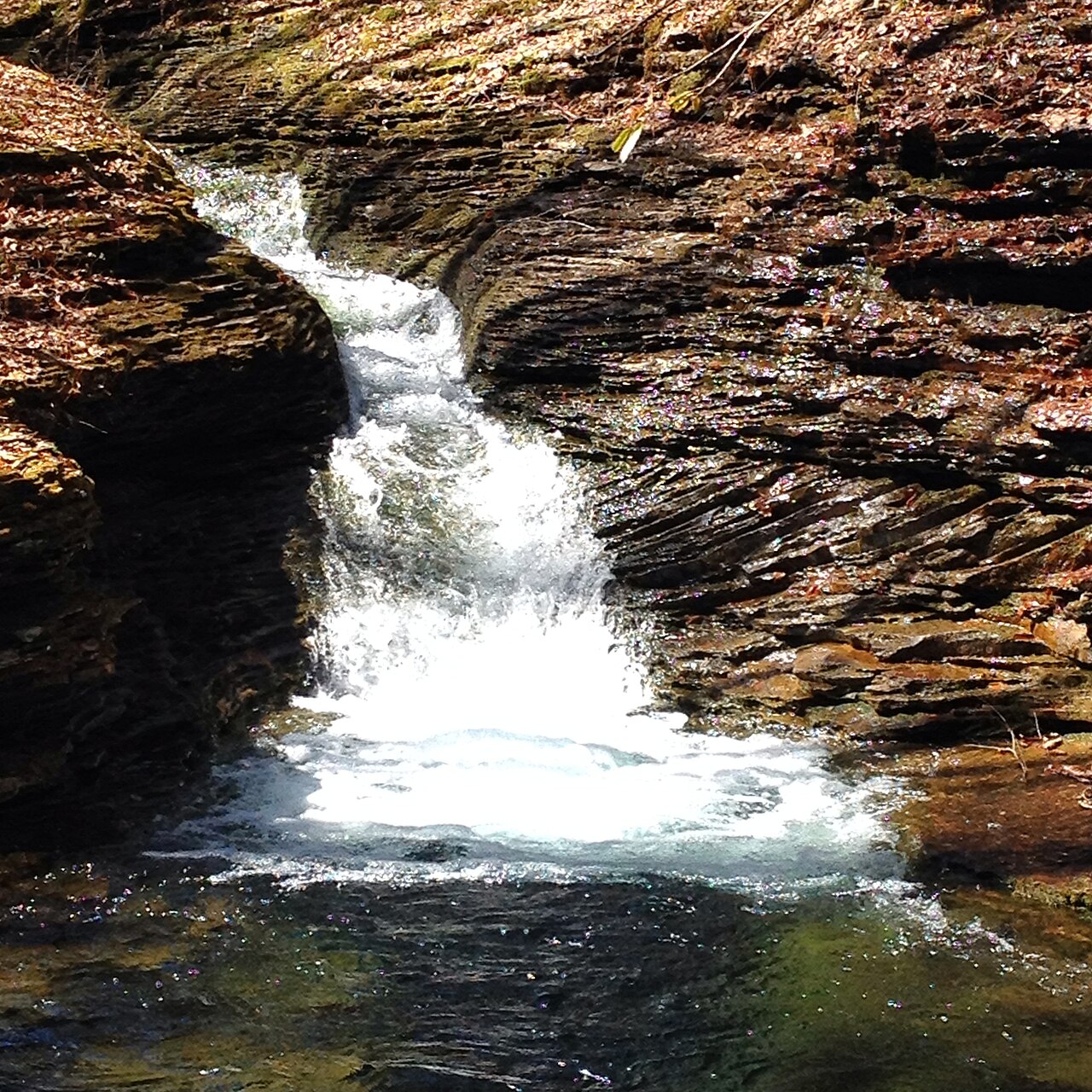 Devils Bathtub, a waterfall in Virginia