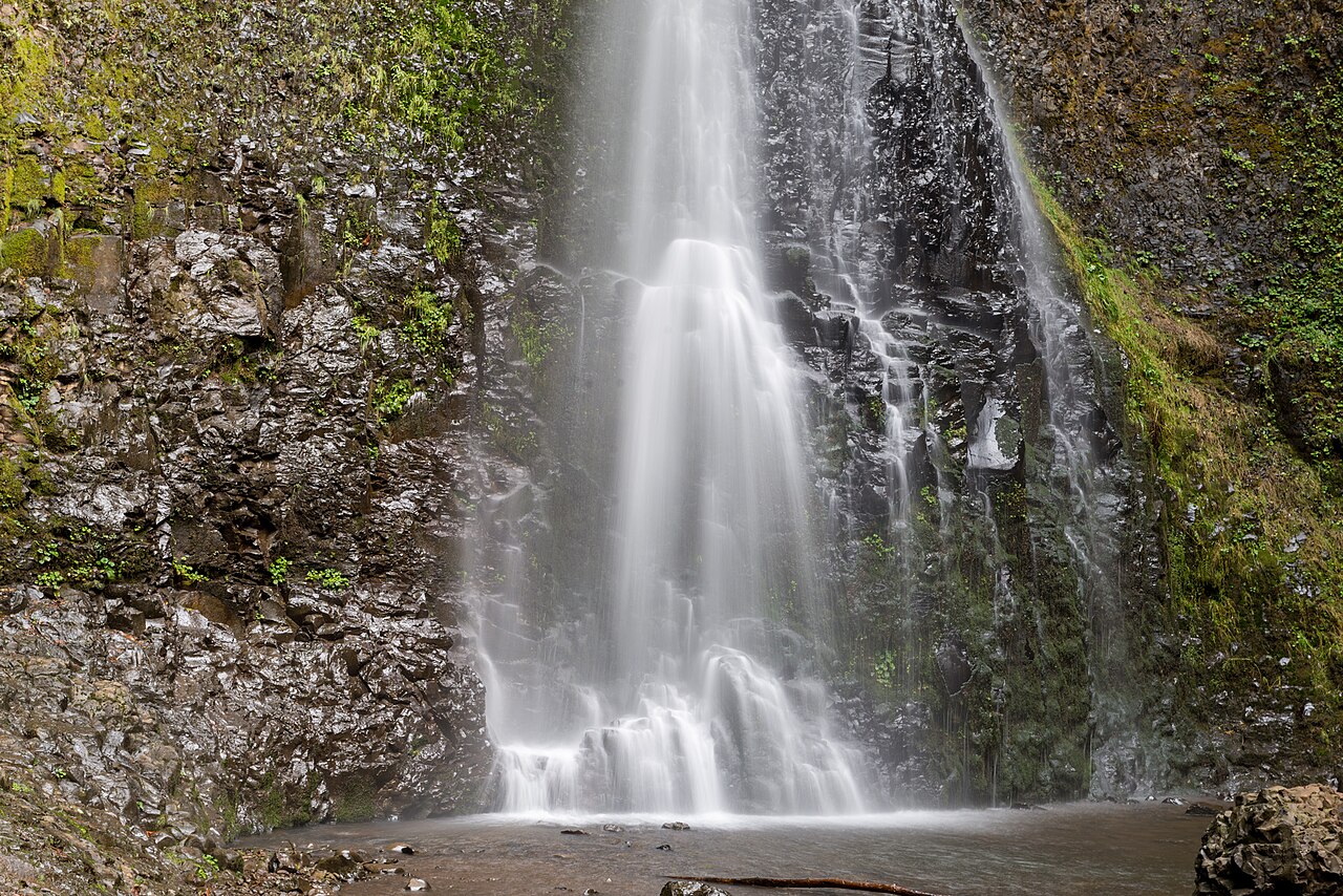 Double Falls, a waterfall in Oregon