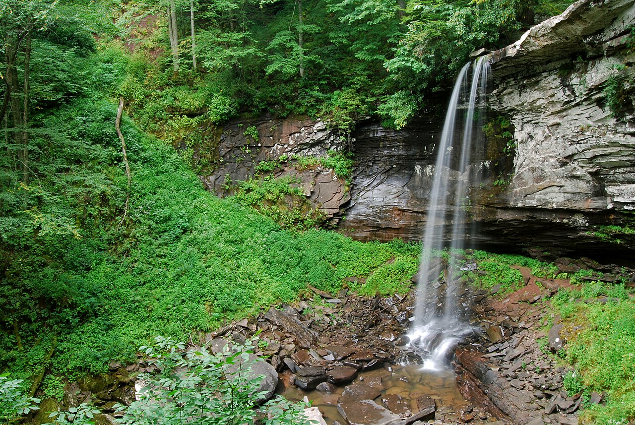 Falls of Hills Creek (Lower Falls), a waterfall in West Virginia