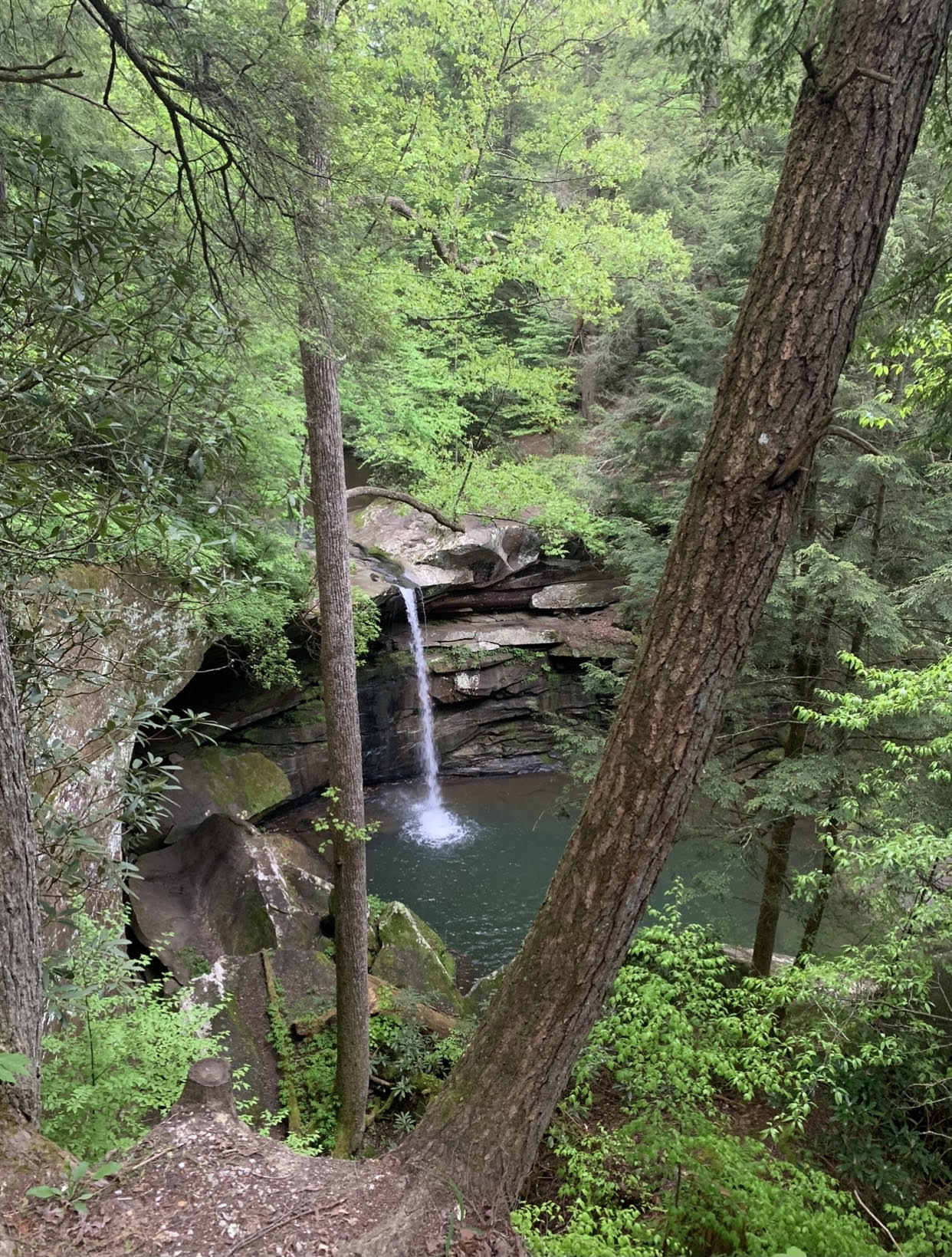 Flat Lick Falls, a waterfall in Kentucky
