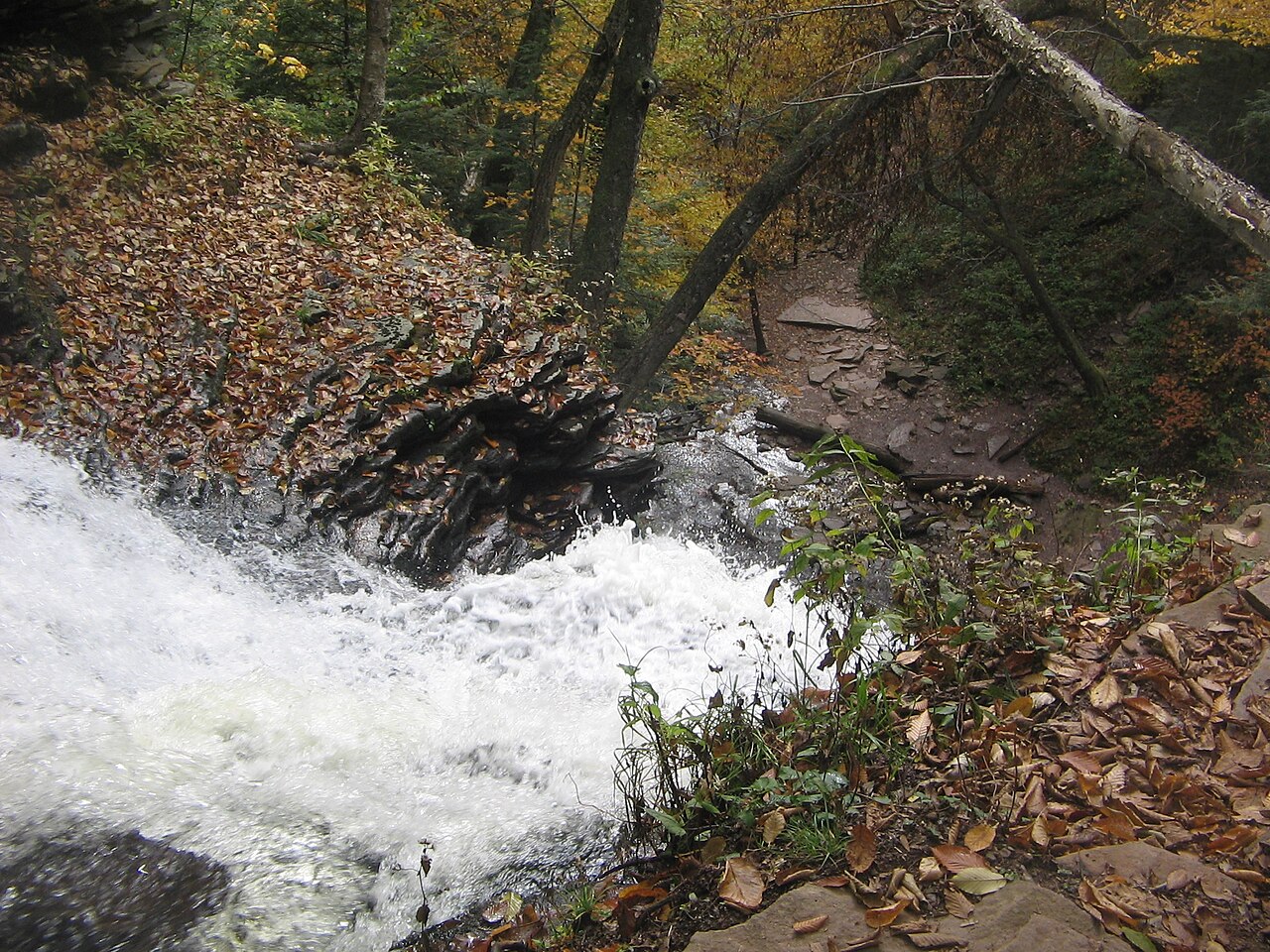 Ganoga Falls, a waterfall in Pennsylvania