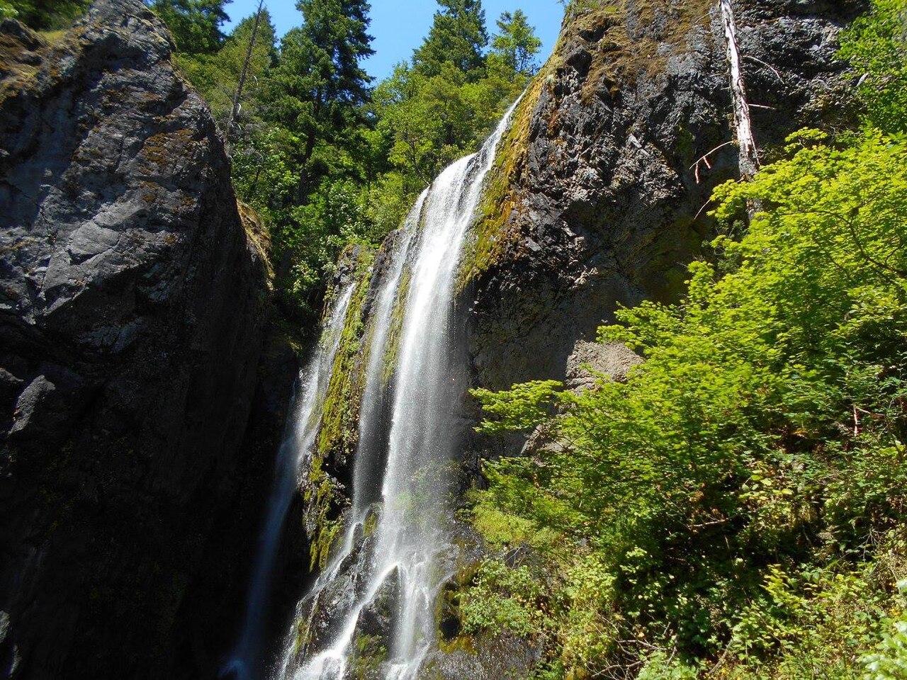 Henline Falls, a waterfall in Oregon