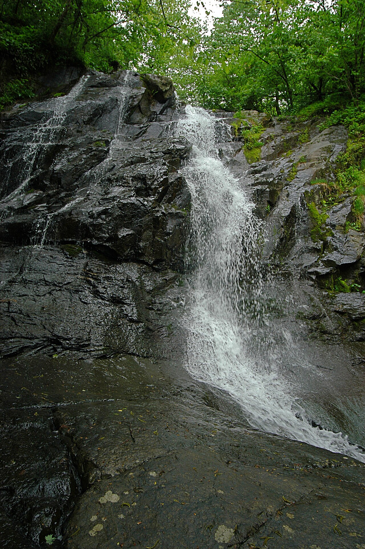 Jones Run Falls, a waterfall in Virginia