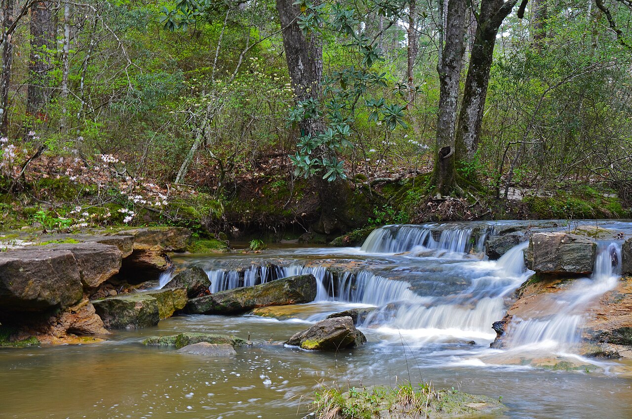 Kisatchie Falls, a waterfall in Louisiana