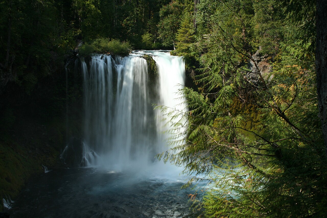 Koosah Falls, a waterfall in Oregon