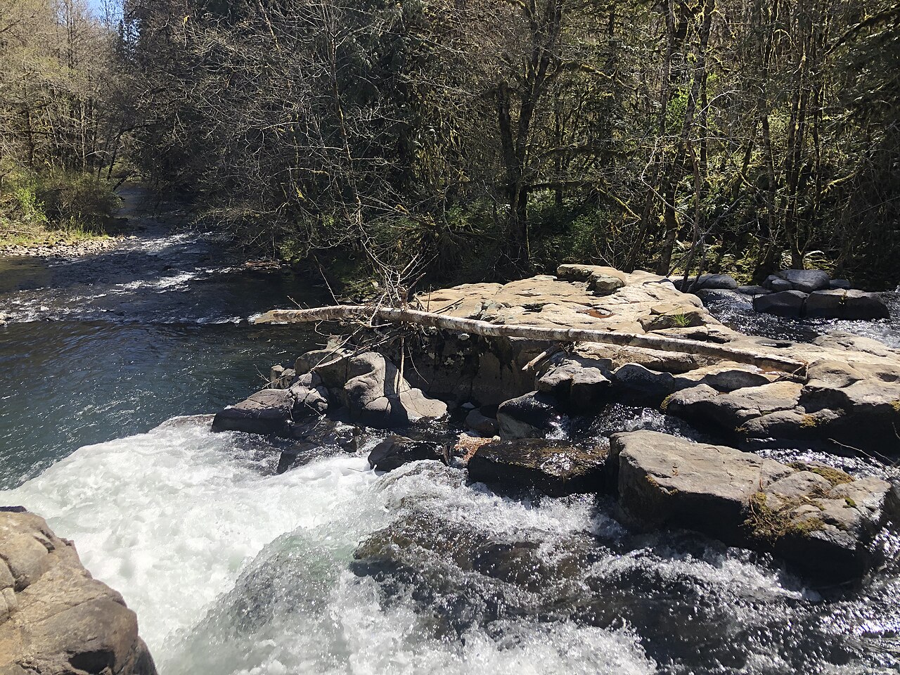 Lee Falls, a waterfall in South Carolina