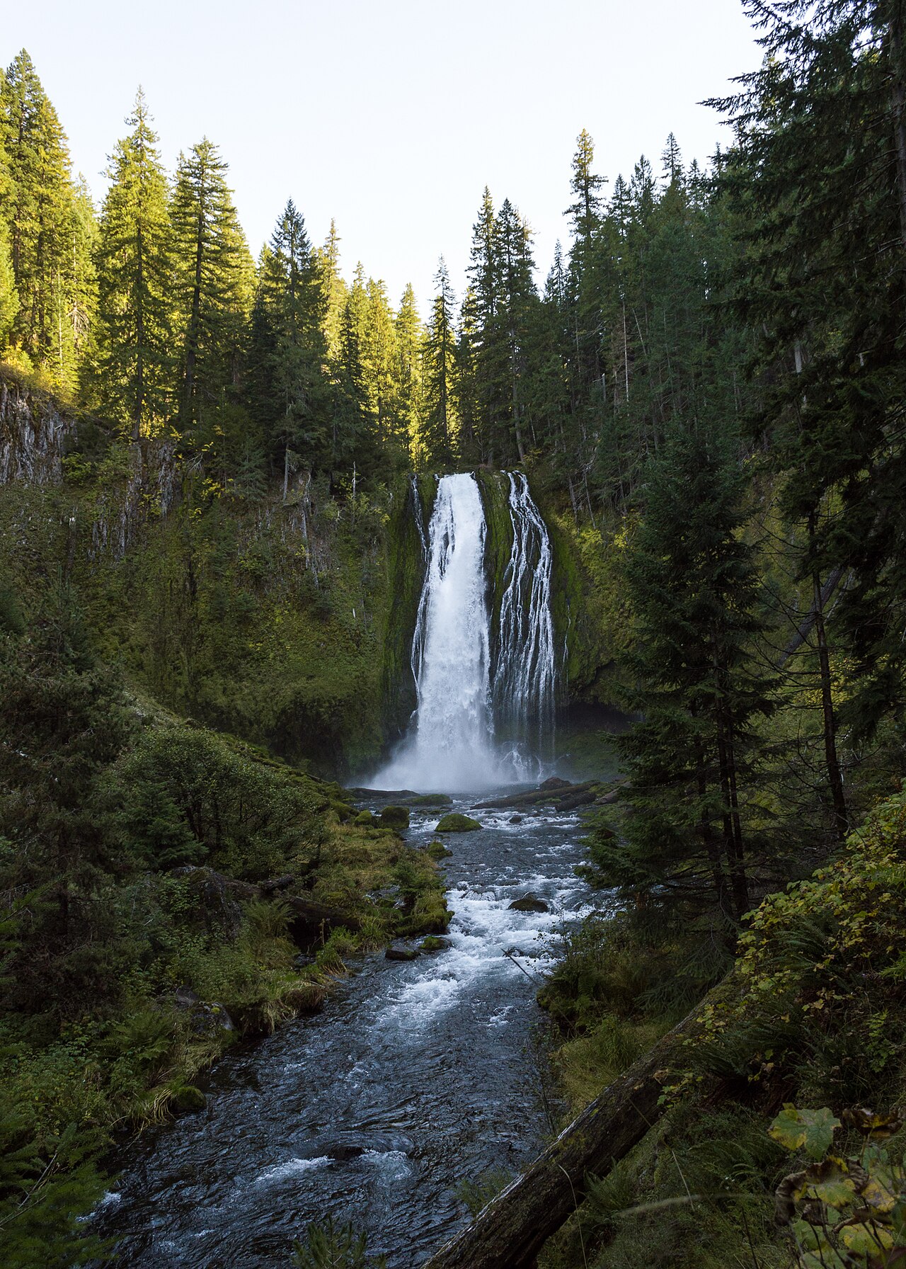 Lemolo Falls, a waterfall in Oregon