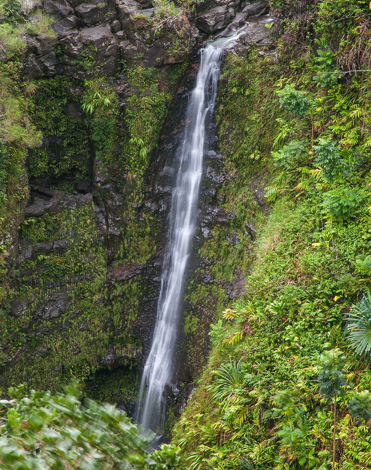 Lower Puohokamoa Falls, a waterfall in Hawaii