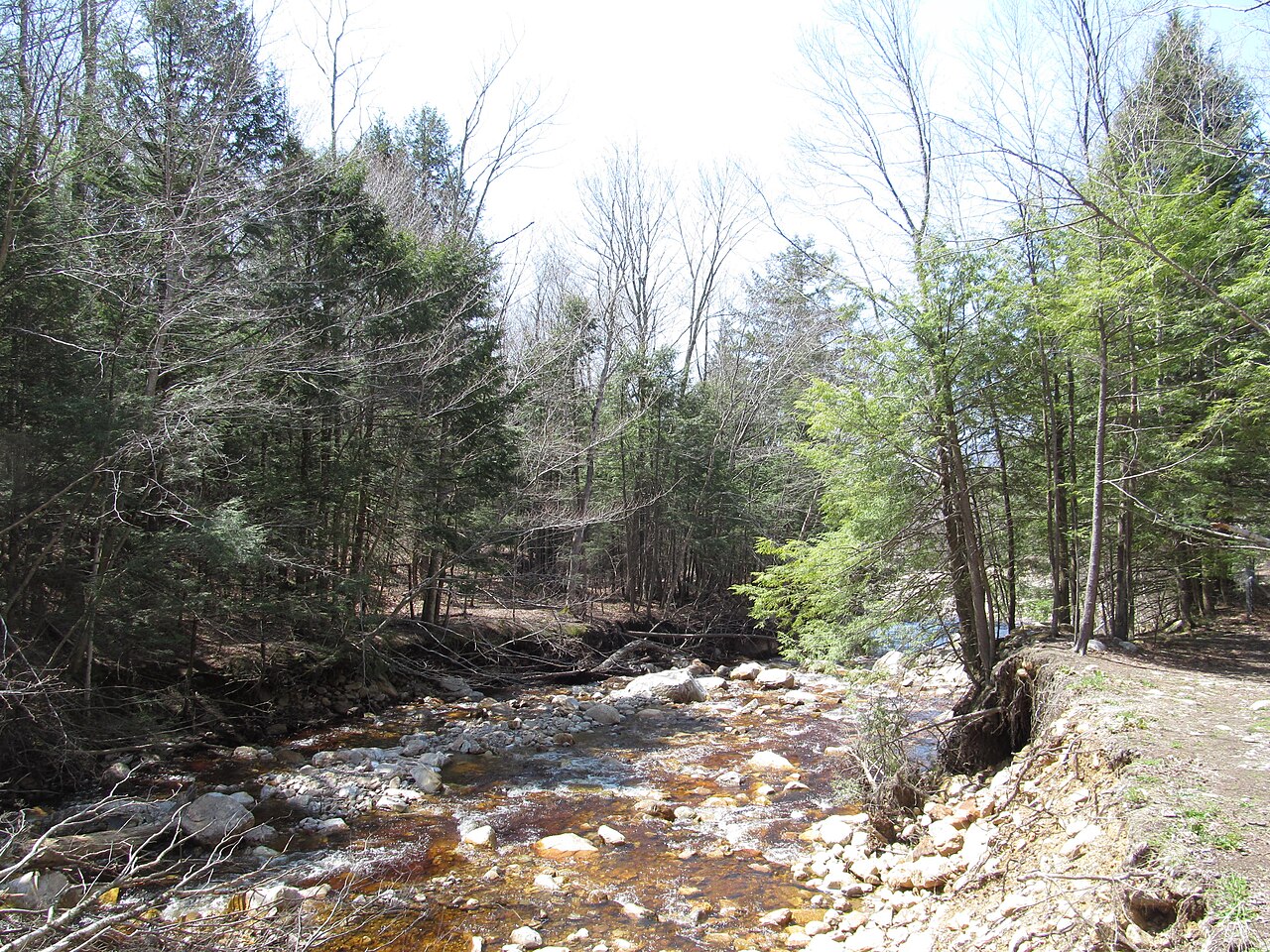 Lye Brook Falls, a waterfall in Vermont