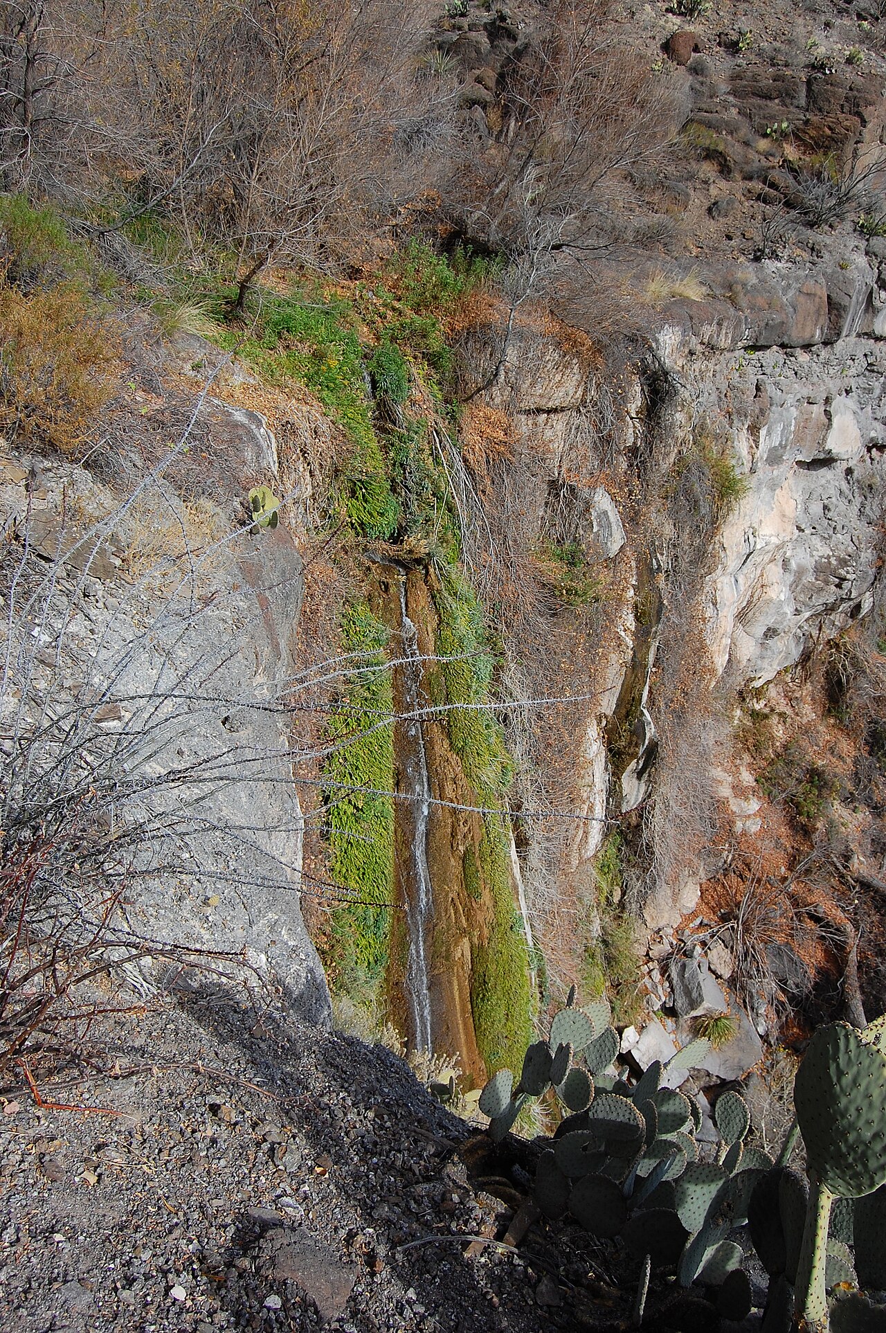 Madrid Falls, a waterfall in Texas