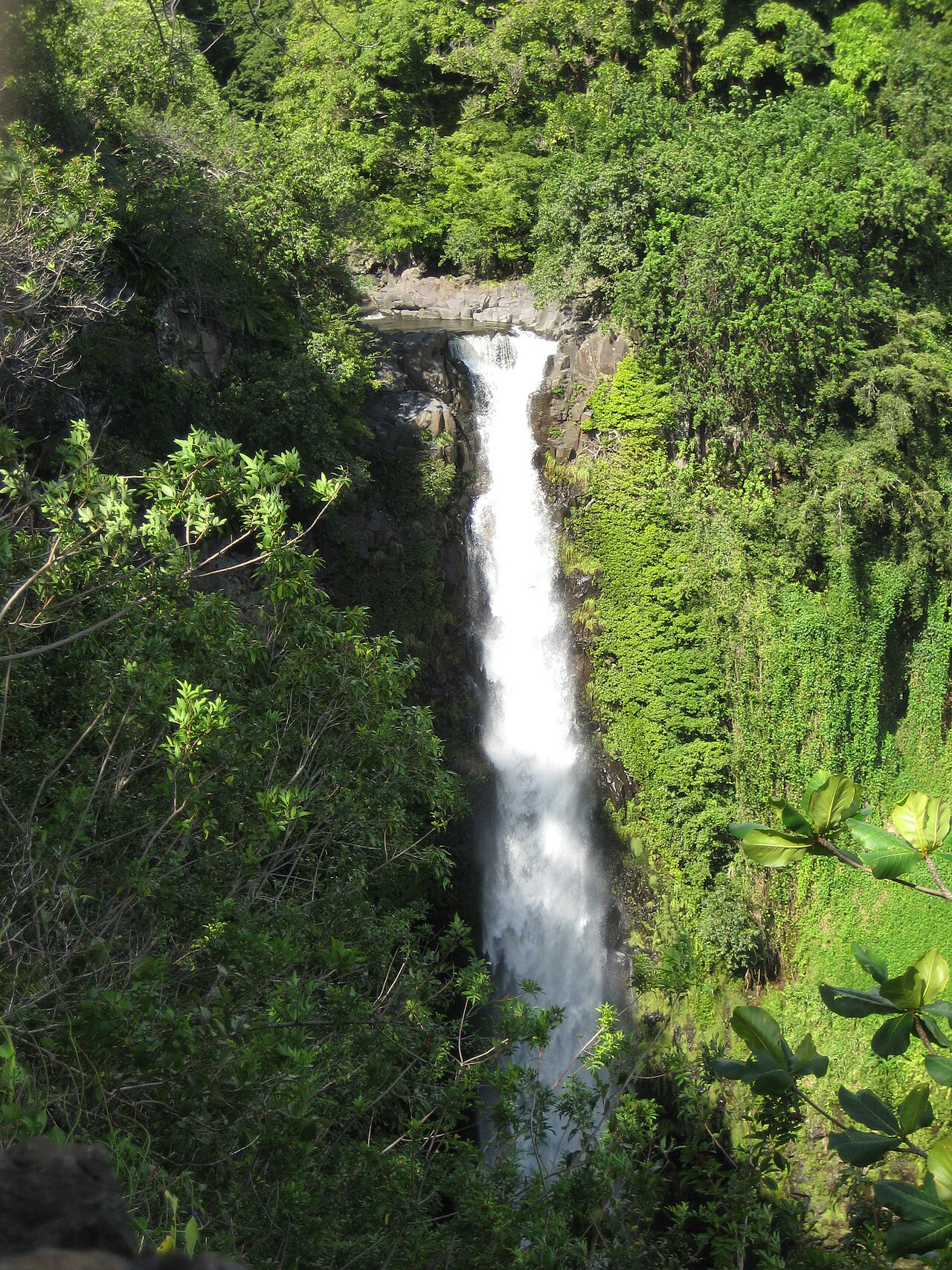 Makahiku Falls, a waterfall in Hawaii