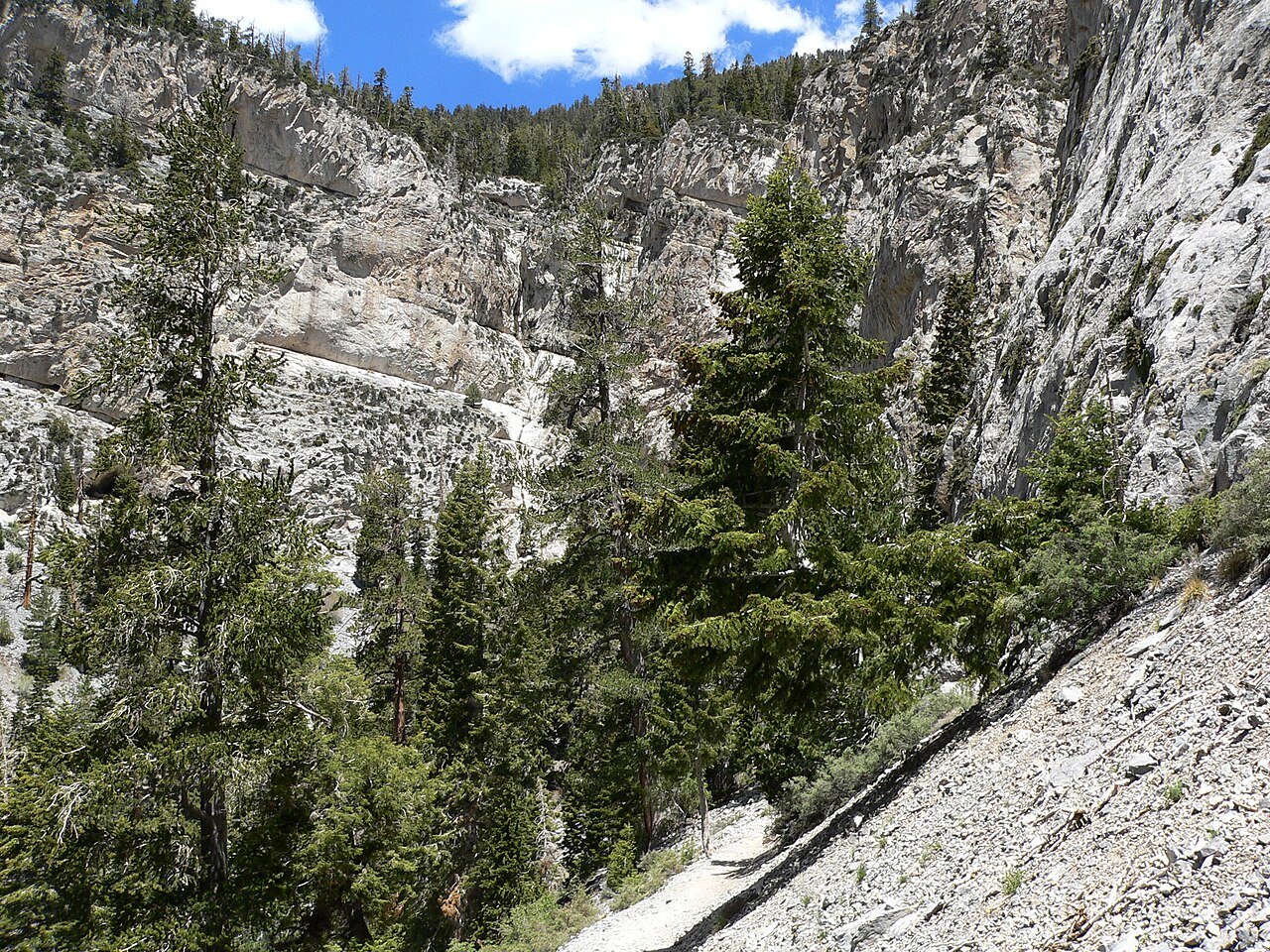 Mary Jane Falls, a waterfall in Nevada