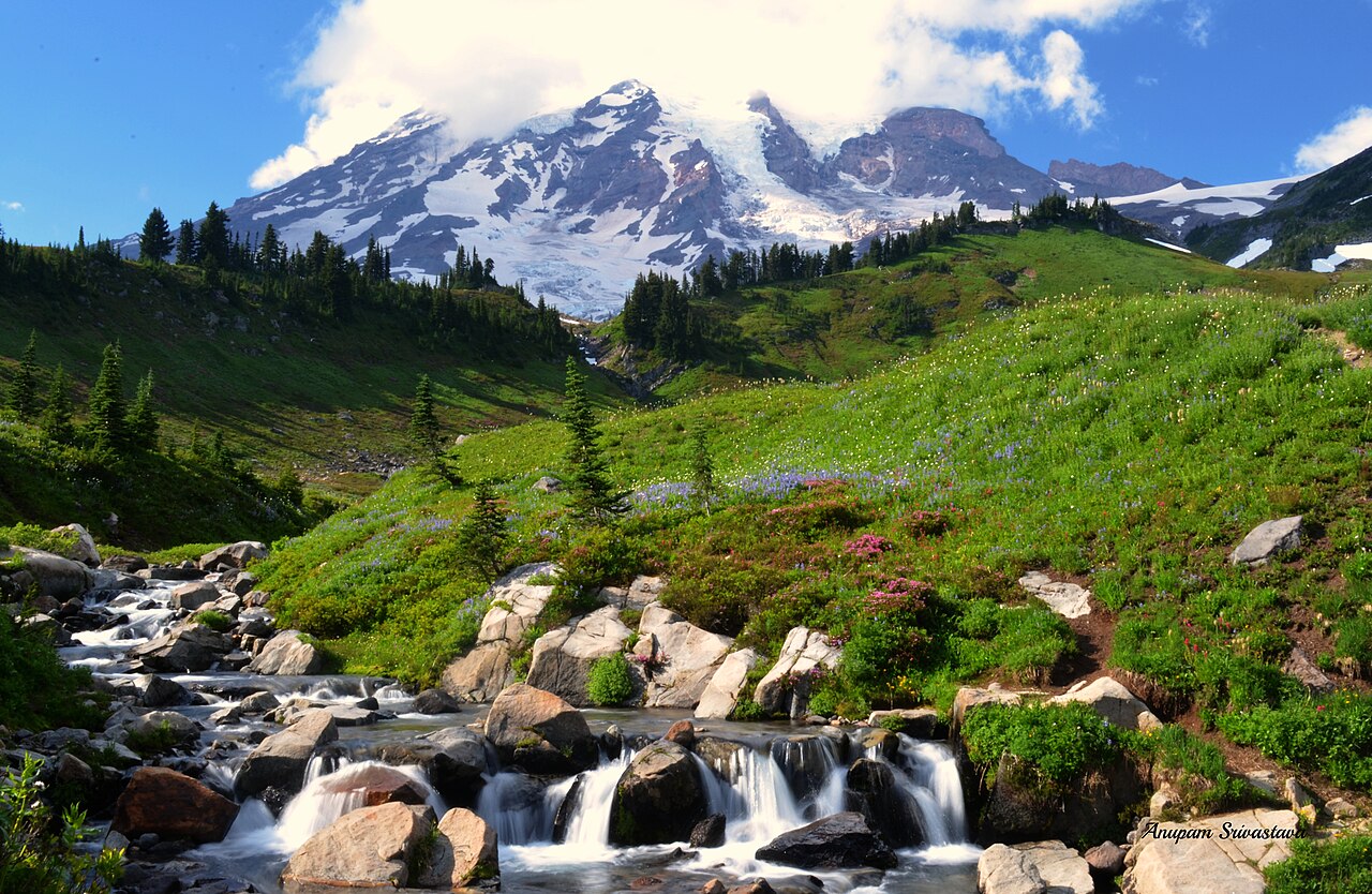 Myrtle Falls, a waterfall in Washington