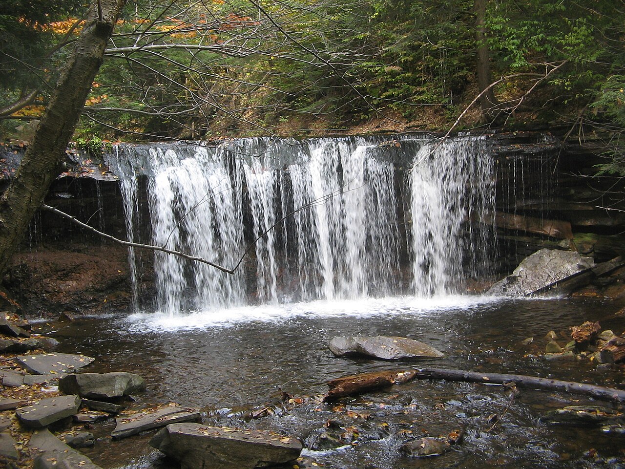 Oneida Falls, a waterfall in Pennsylvania