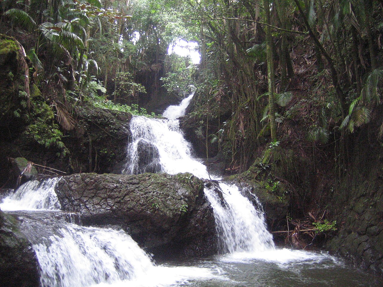 Onomea Falls, a waterfall in Hawaii