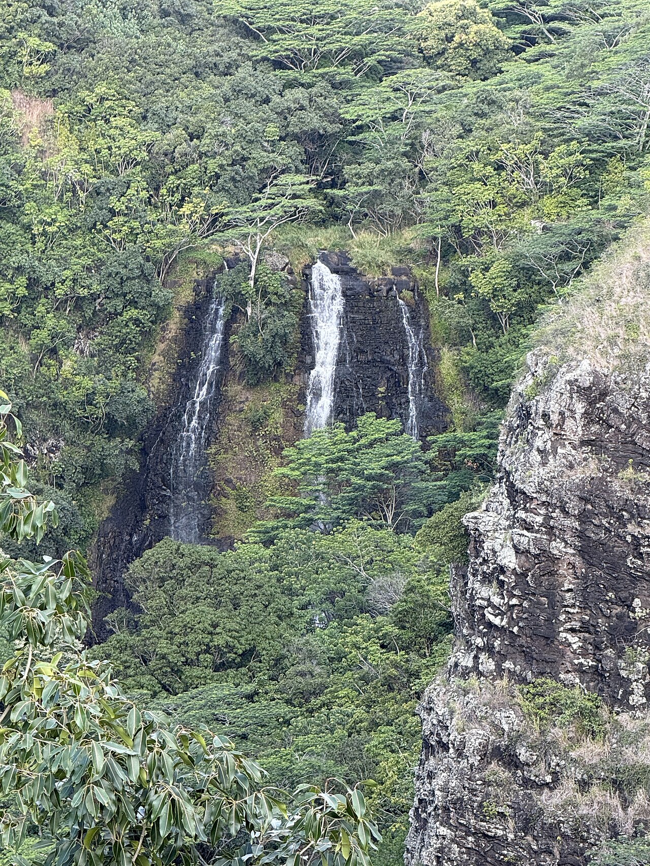 ʻŌpaekaʻa Falls, a waterfall in Hawaii