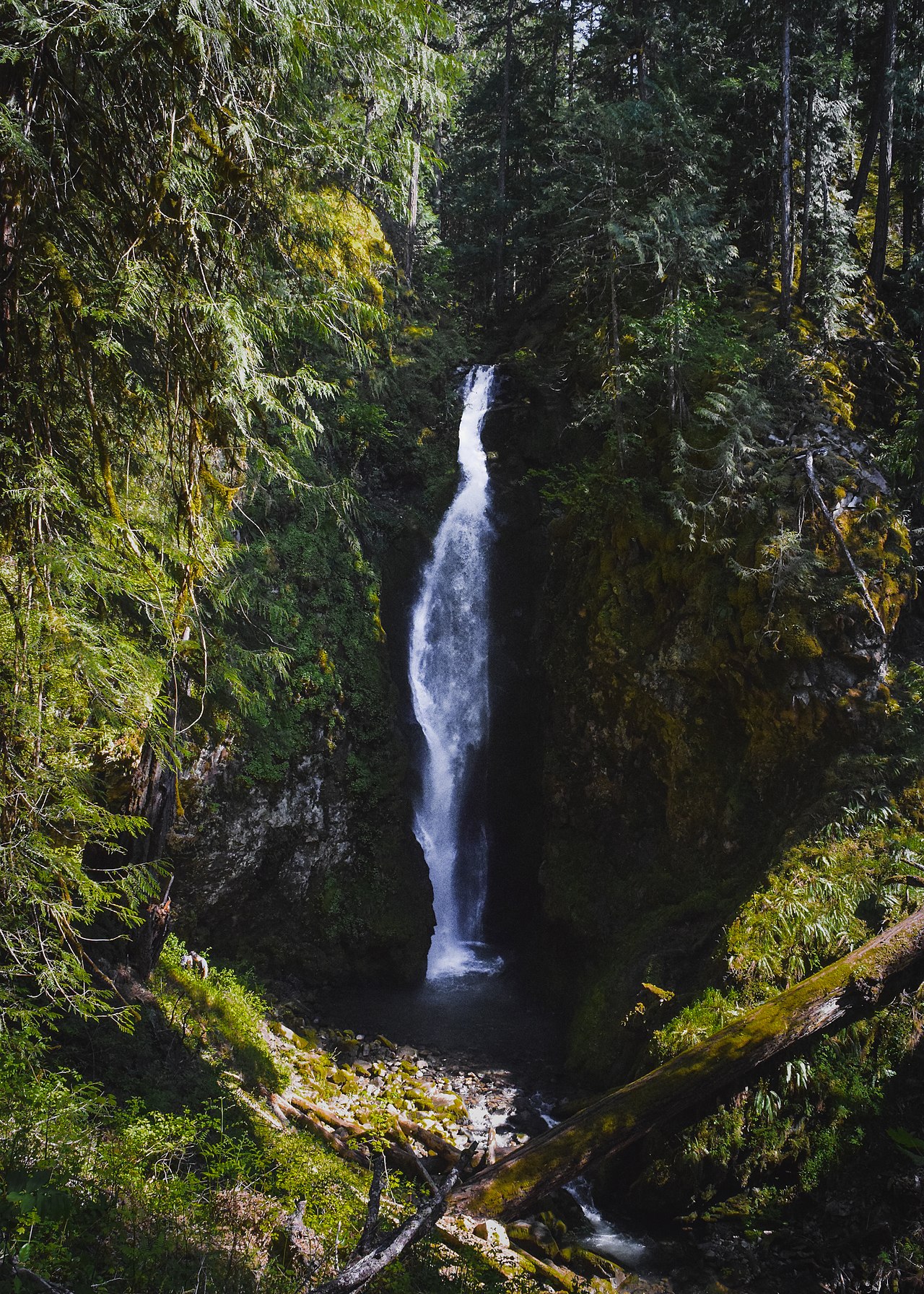 Pinard Falls, a waterfall in Oregon