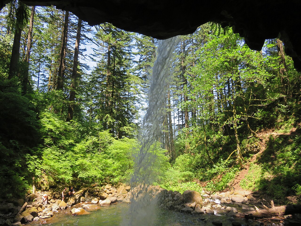 Ponytail Falls, a waterfall in Oregon