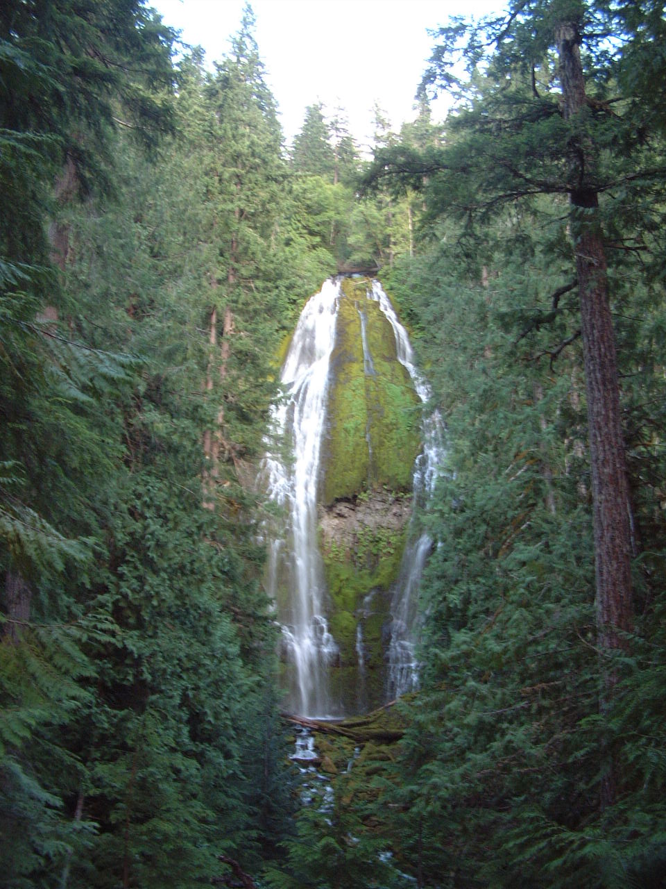 Proxy Falls, a waterfall in Oregon