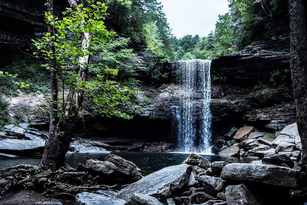 Savage Falls, a waterfall in Tennessee