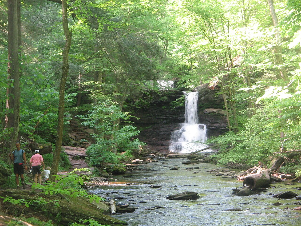Sheldon Reynolds Falls, a waterfall in Pennsylvania