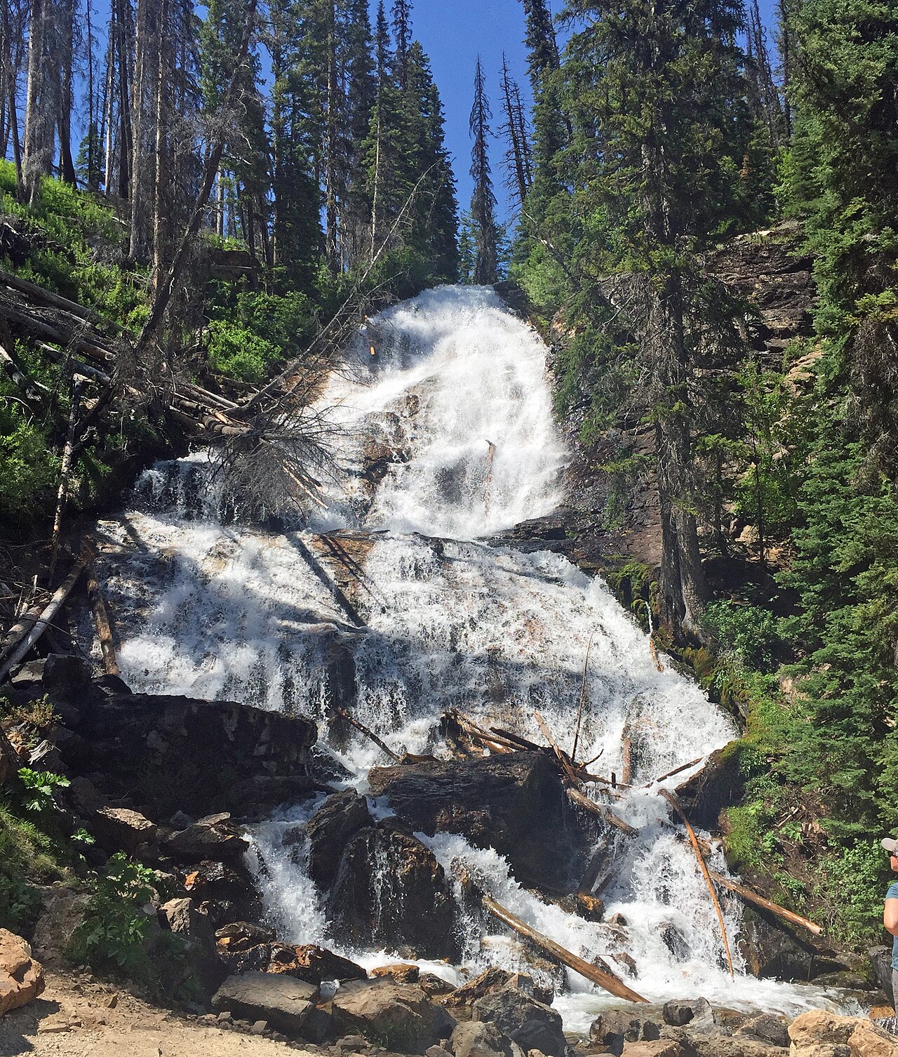 Skalkaho Falls, a waterfall in Montana