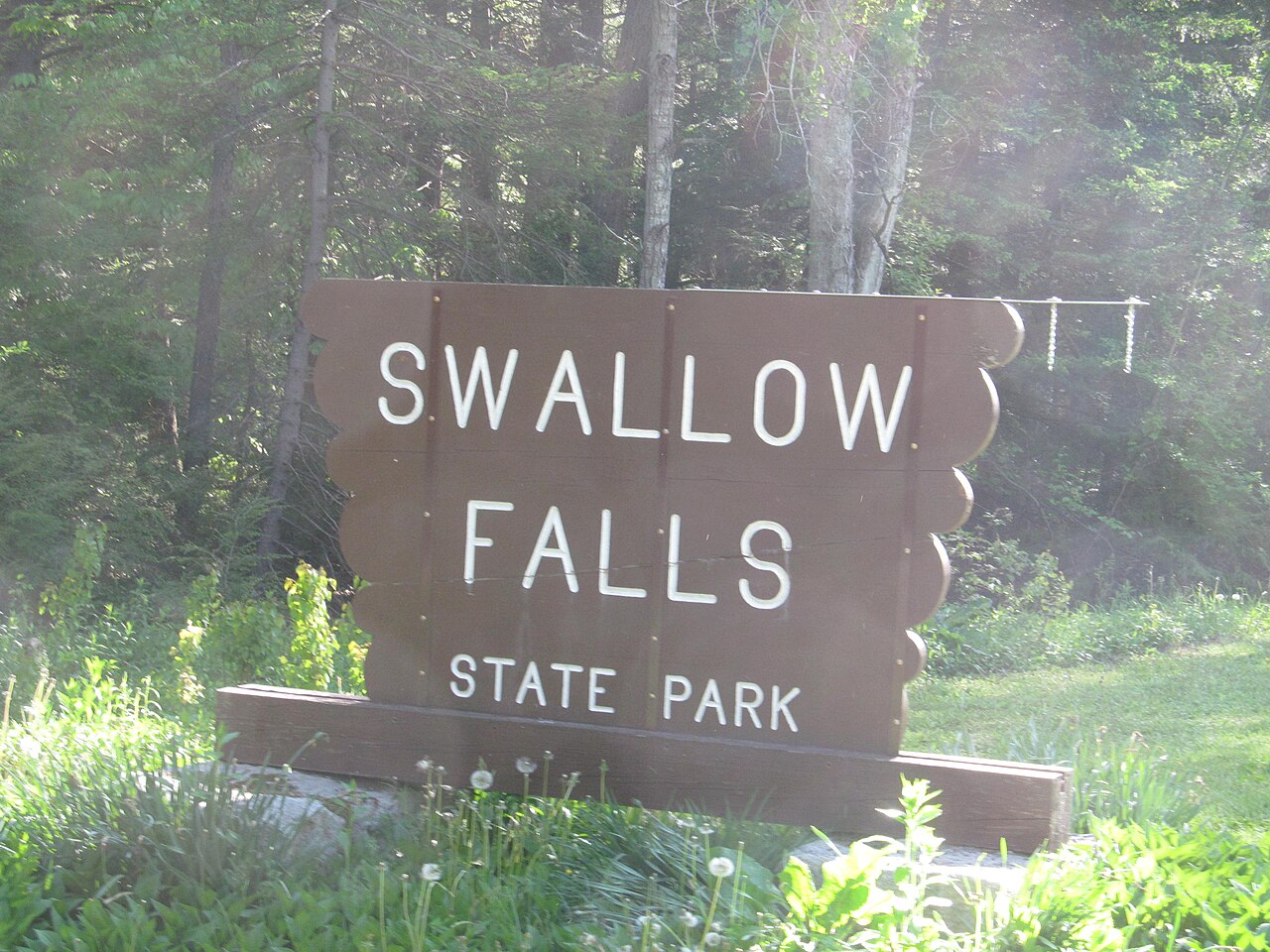 Swallow Falls, a waterfall in Maryland