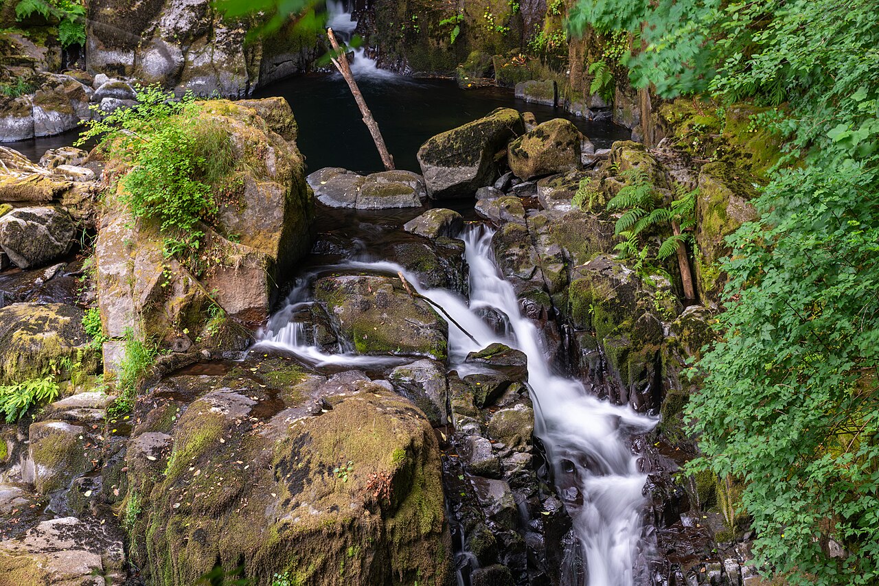 Sweet Creek Falls, a waterfall in Oregon