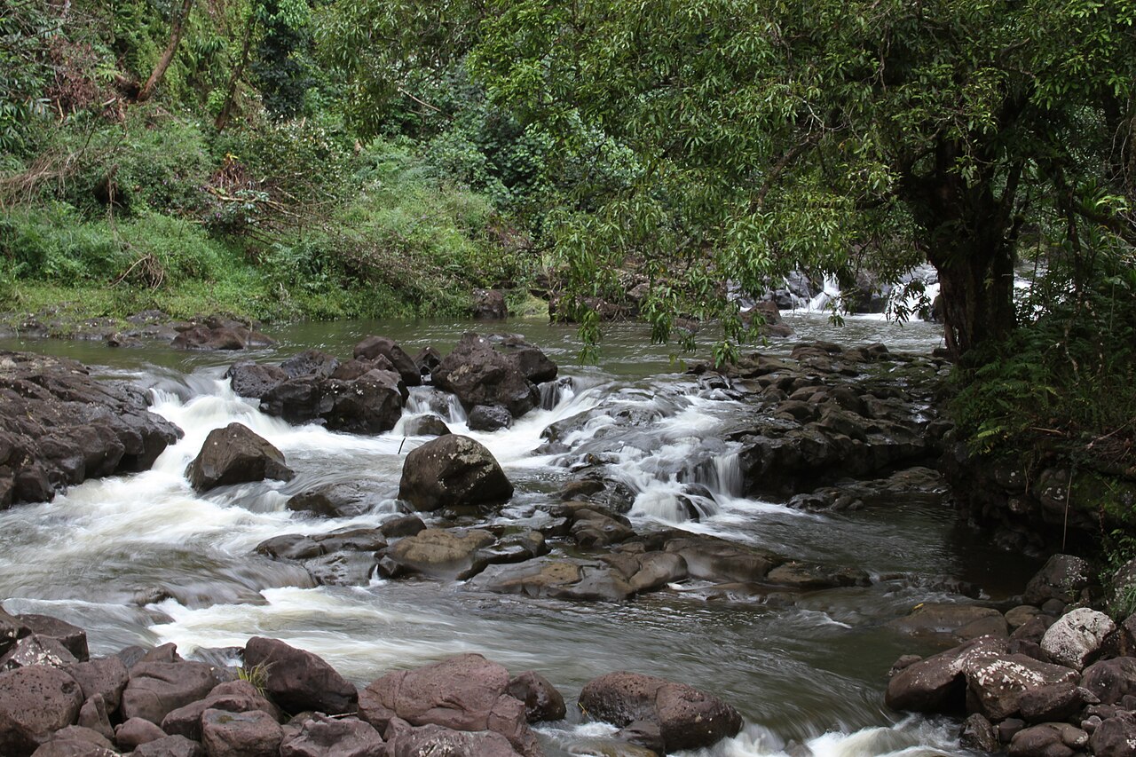Umauma Falls, a waterfall in Hawaii