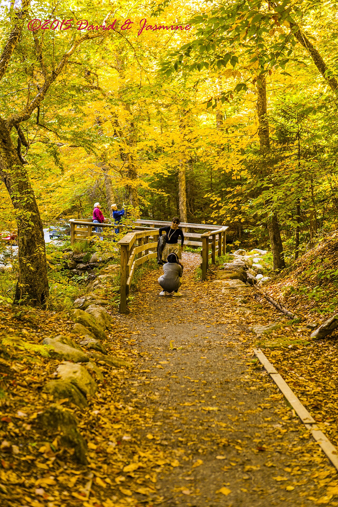 Warren Falls, a waterfall in Vermont